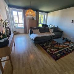 Appartement confortable 4 pers à Épinal avec parking privatif - FR-1-589-682