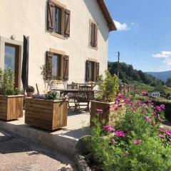 Maison rénovée près des Hautes Vosges, idéale pour activités nature - FR-1-589-696