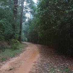 VANASHREE Homestay GALAMUDI GANDAGATTA SRINGERI