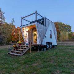 Tiny Home on a Working Horse Farm with Mini Cows!