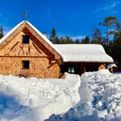 Chalet Wildalpen (in Ruhelage & mit Wellness)