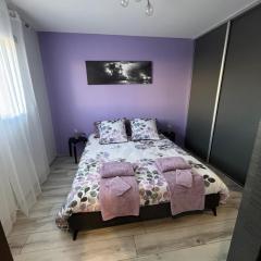 CHAMBRE D'HOTES DANS MAISON PROCHE de COLMAR