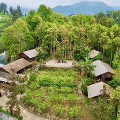 Anne House Bac Ha