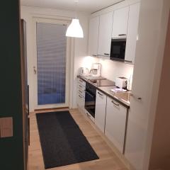 1 br apartment - Kotimaailma