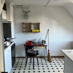 Very Old Apartment center of Burgdorf Mansarde- small bathroom 60m2