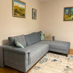 City Centre Comfort Apartment