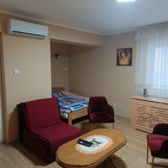 Apartman Putnik