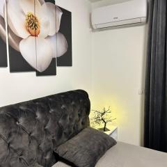 Apartman Sneznik