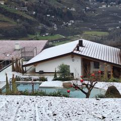 Apfel Chalet Feldhof