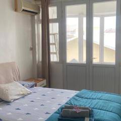 Coastal Roses 2 bedrooms summer vacation private beachfront furnished apartment flic en flac