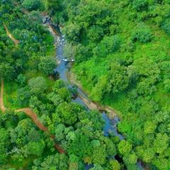 Ranches Jungle Beats Resorts