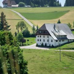 Gasthaus-pension zum Löwen