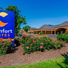 Comfort Suites Chesapeake - Norfolk