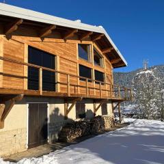 Chalet alpin de 150m² pour 12 personnes avec billard et garage à Méaudre - FR-1-737-22