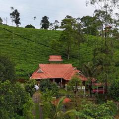 Snow Valley Munnar