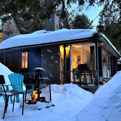 Le1615 - Lac, Quai privé- Les chalets dans le nord