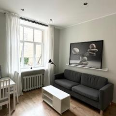 Stylish and cozy apartment in Riga Center