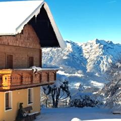 Panorama Chalet mit Sauna Höllmaishof