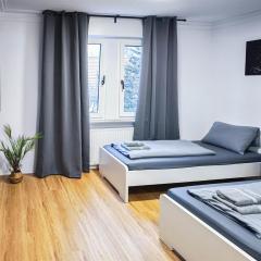 ALFA Stuttgart Apartment 4BR 7Beds - 4Zi-Apartment Stuttgart nahe Wasen Daimler Mercedes-Benz-Arena - TV WIFI NETFLIX WM EBK