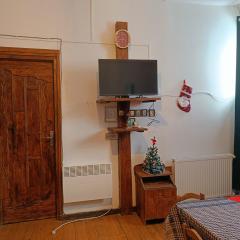 2 Room Apartment in Bakuriani Close to Ski Slopes and Mountain Adventures