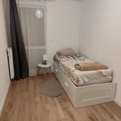 Chambre cosy à Villeurbanne