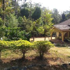 Malnad Bliss