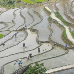 Homestay Núi Đá Tả Phìn