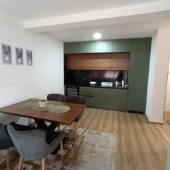 Luksuzni Apartman Ema 2