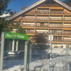 Newly Renovated Villars sur Ollon apartment for 4 with 2 double beds and balcony with 75m to ski train station