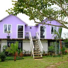 Homestay Dambri