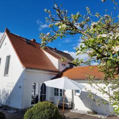 Ferienhaus Rosengarten