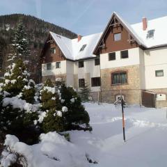 Alpine Retreat 2BR Apartment Villa Wellspacher