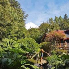 Pucon forest volcano