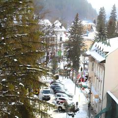 Central Park View Sinaia