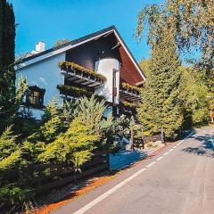 Silvia Chalet Poiana Brasov