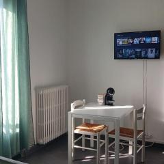 Cozy and equipped studio in Villeurbanne, Netflix