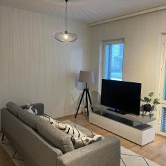 40m2 in the best location in Turku