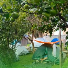 Camping Primitivus- Centro de São Thomé