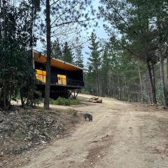 Hermosa casa en el bosque