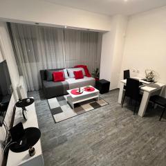 Apartman Jevtic