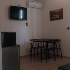 Apartman Zemo camp