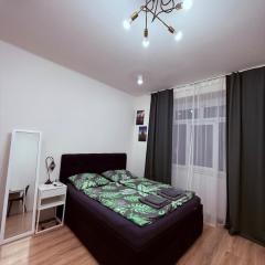 Private apartment close to red subway Pankrac