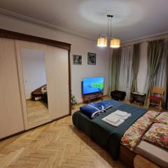 Kaunas Center Apartment