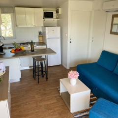 Olive Tree Neo & Lino - Two Bedroom Mobile Home with Terrace Neo