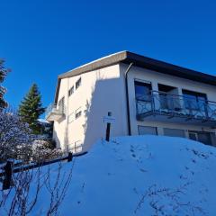 Schwarzwaldblick Haus D mit Pool