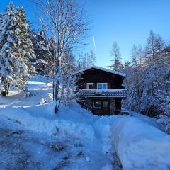 Petit chalet rustique et bucolique