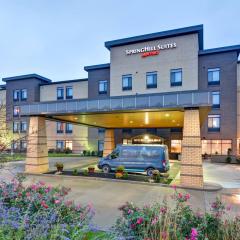 SpringHill Suites Cincinnati Airport South