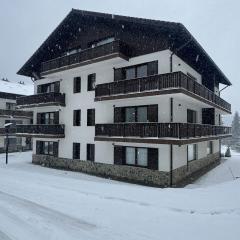 Massif Grand Chalet Apartments