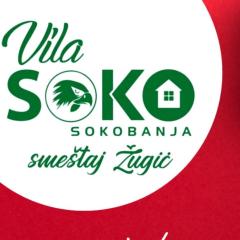 Vila Soko Smeštaj Žugić