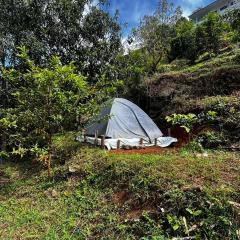 Fruits dale kanthalloor camp